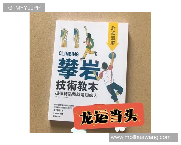 南京攀岩队成员个人能力提升之路与攀岩技巧探讨