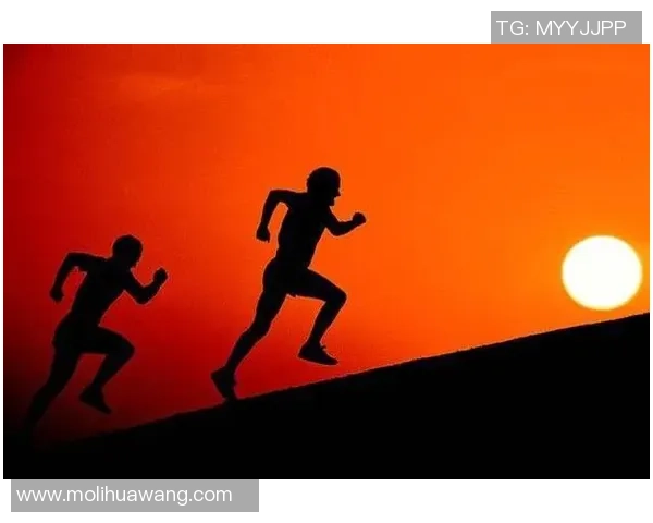 杭州网球队崛起之路联合会杯背后的奋斗与荣耀