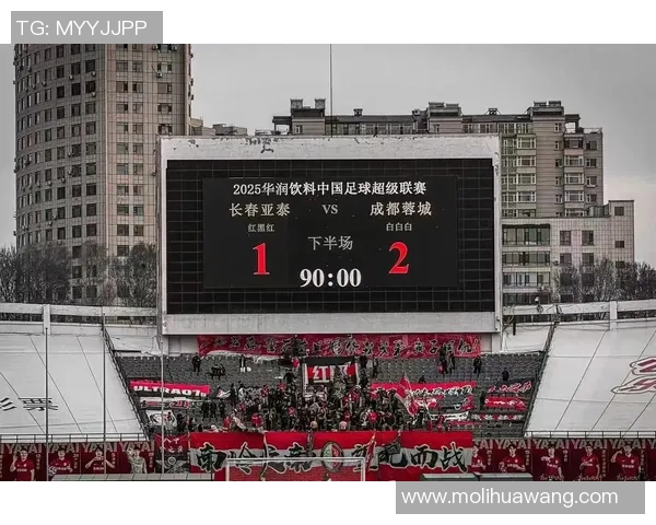 成都足球队的节奏解析与未来发展展望