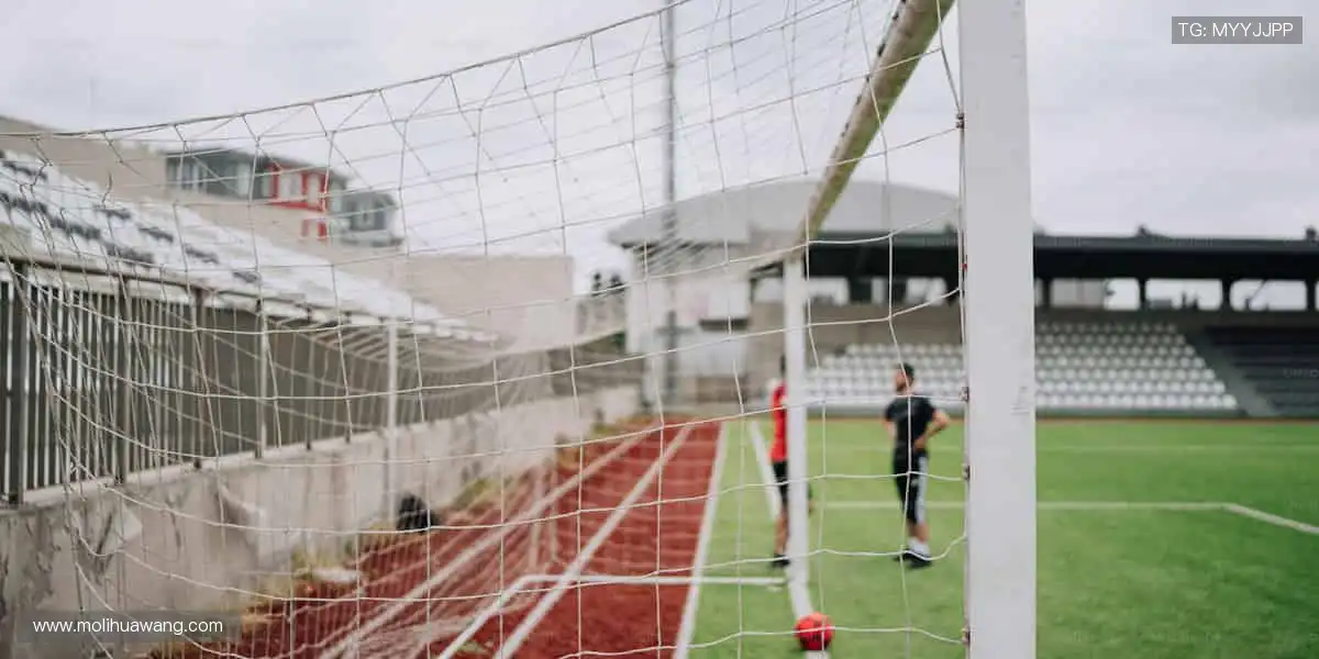 独家视角，让热爱零距离！📺✨